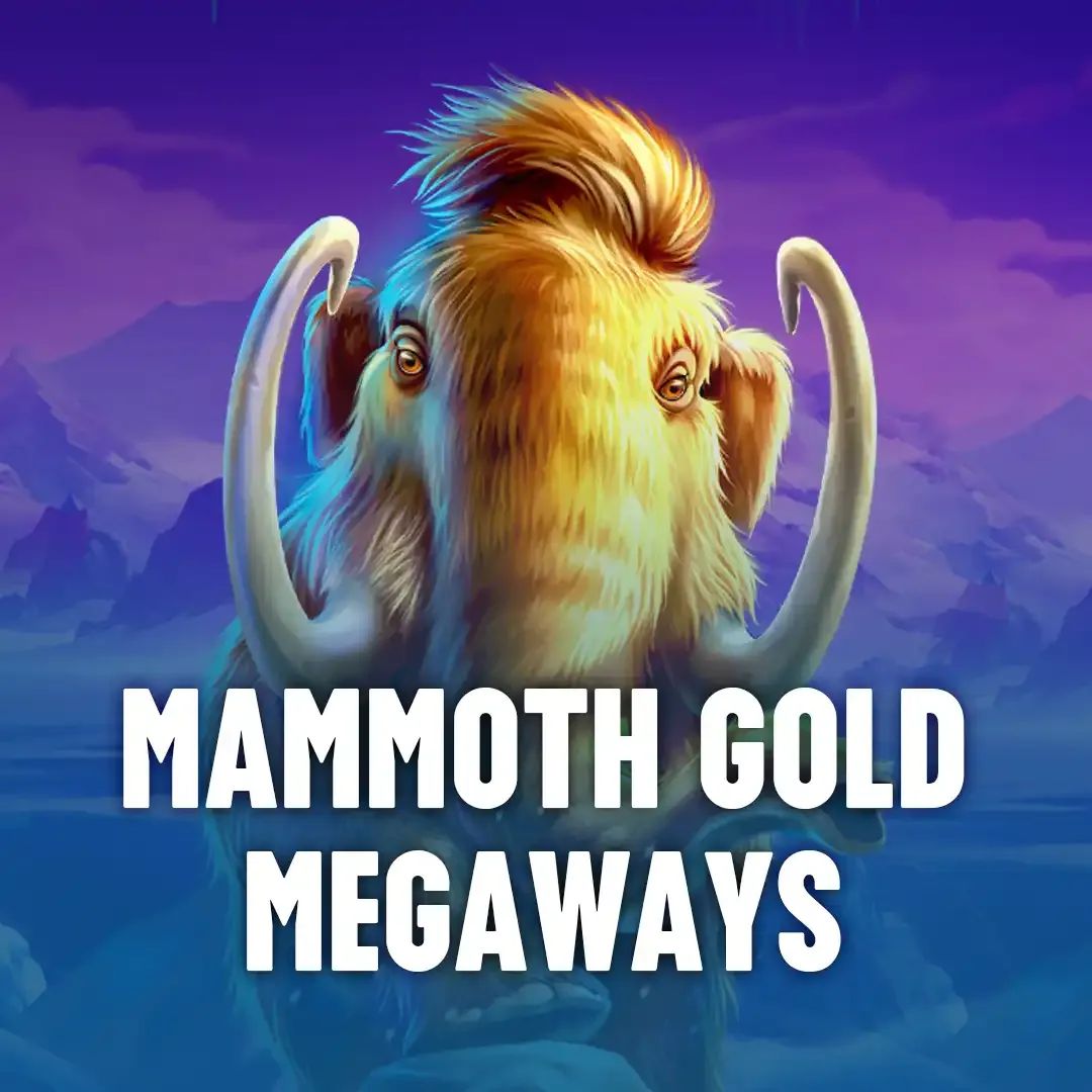 10bbbet login